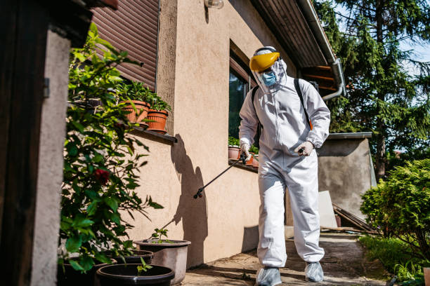 Best Pest Control Treatment  in East Merrimack, NH