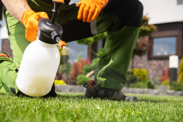 Best Termite Control Services  in East Merrimack, NH
