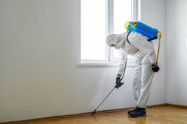 Best Pest Control for Restaurants  in East Merrimack, NH