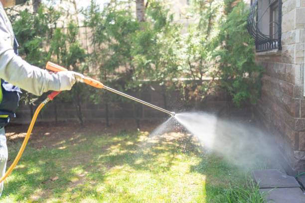 Best Affordable Pest Control Services  in East Merrimack, NH