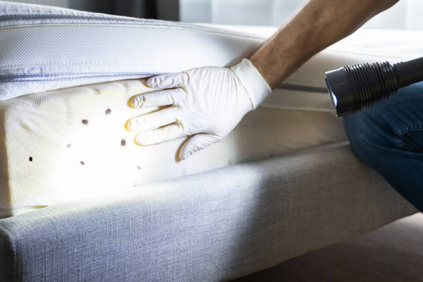 Best Pest Inspection Near Me  in East Merrimack, NH